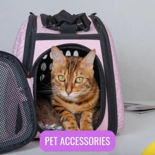 Pet Accessories - family place