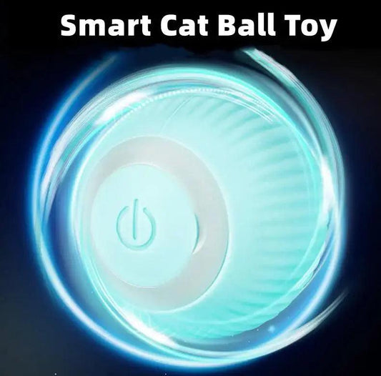 Smart Cat Ball Toys - family place