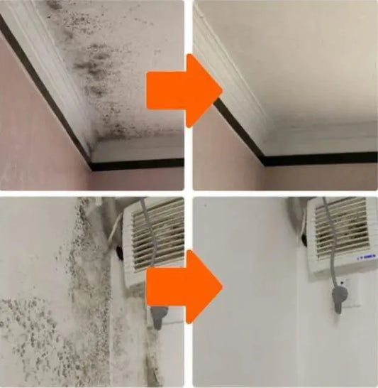 DIYMate? Mold Removal Gel - family place